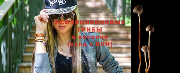 Альфа ПВП Елабуга