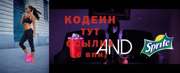 МДПВ Михайлов